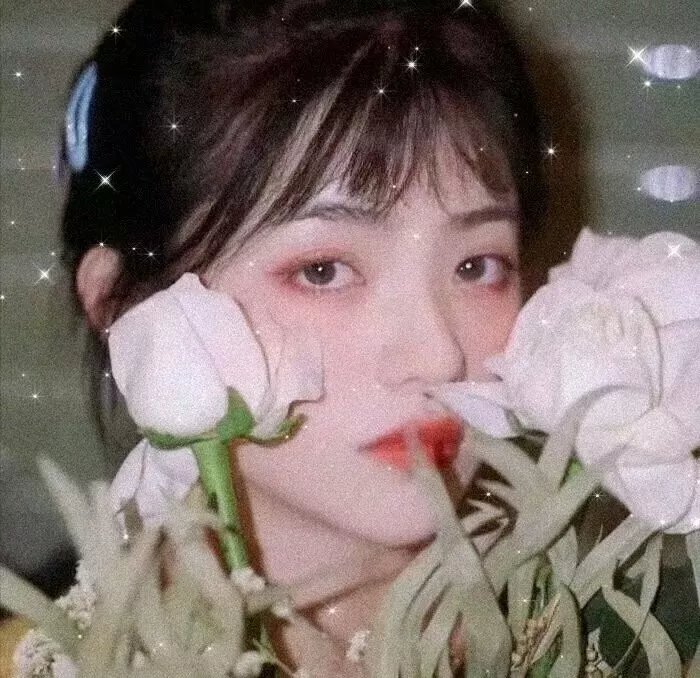 29片棕榈叶